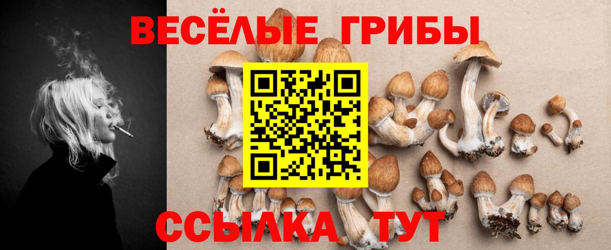 Псилоцибиновые грибы прущие грибы Учалы